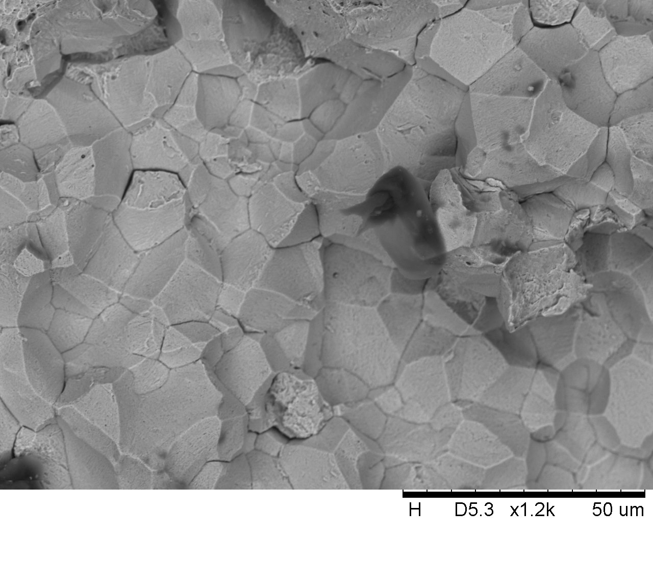 Bolt failure - SEM